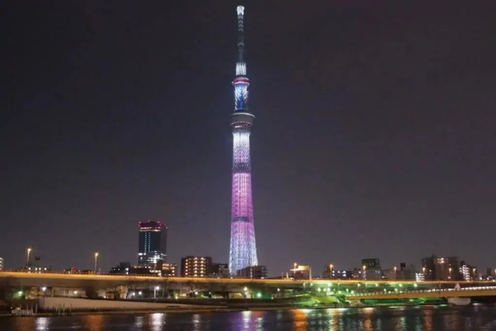 S4/広いバルコニー!新小岩駅から徒歩5分!ディズニー&成田空港直通! Apartment Tokyo